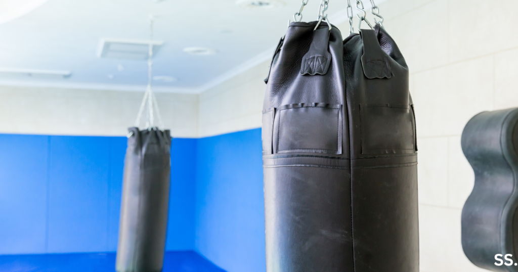 Different types of punching bags